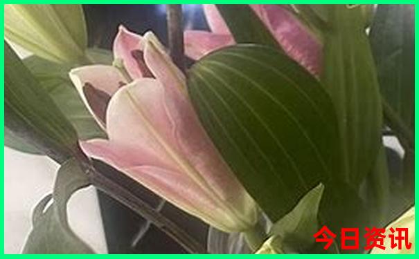 黄龙溪必去三个景点